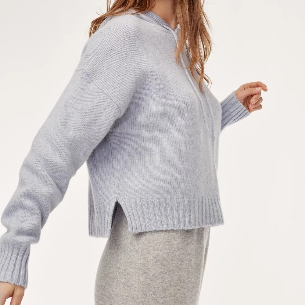 ARITZIA 100% CASHMERE CROPPED HOODIE
